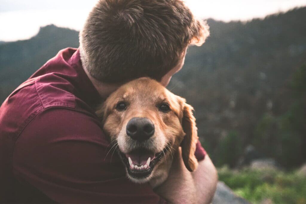 Oregon Pet Insurance Oregon Pet Insurance