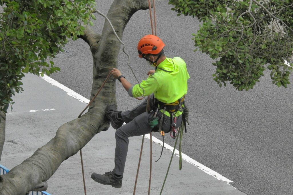 Tree Service Insurance Programs in Oregon Tree Service Insurance Programs in Oregon